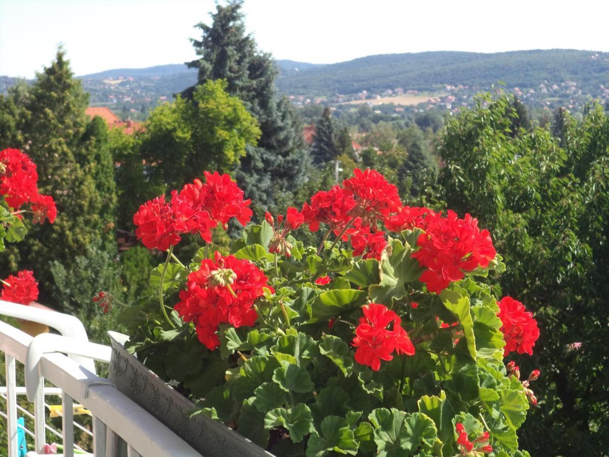 Maria Apartman Hévíz Buitenkant foto